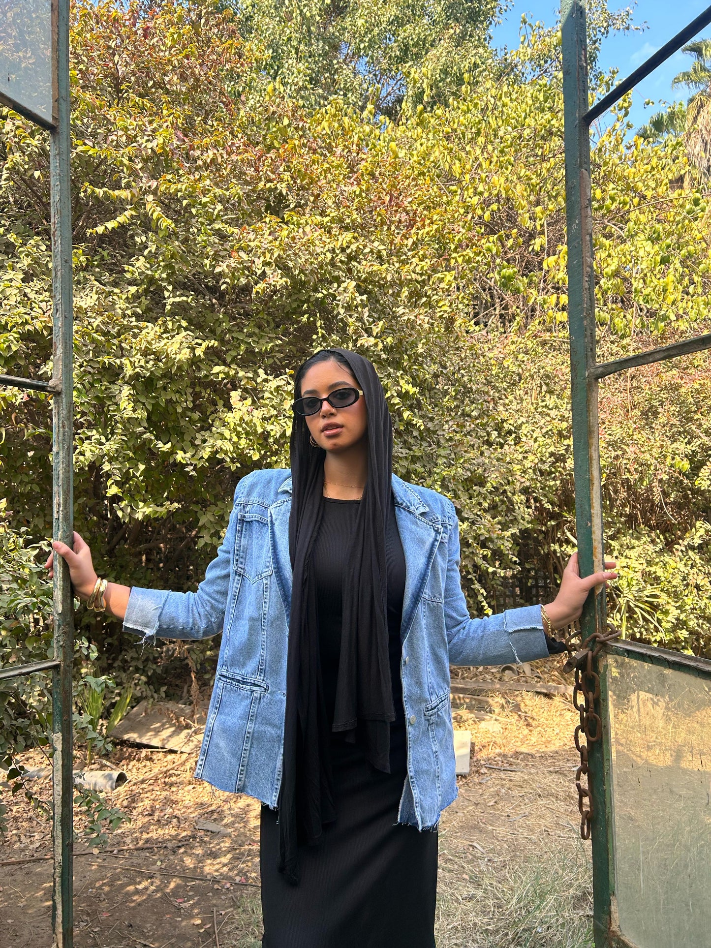 The denim dare jacket